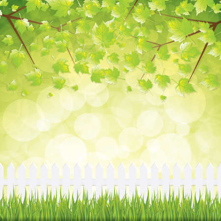 Fresh spring background.Vectorのイラスト素材