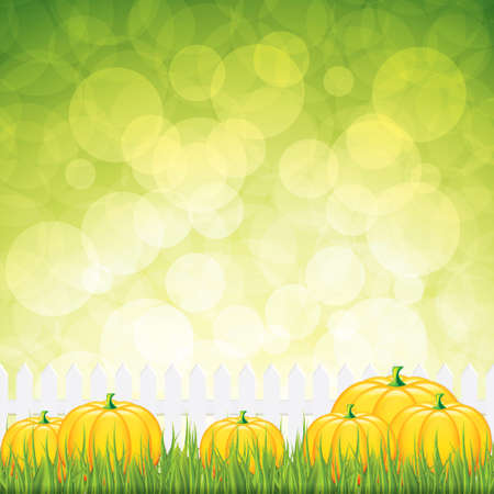 Autumn garden with pumpkins.Vectorのイラスト素材