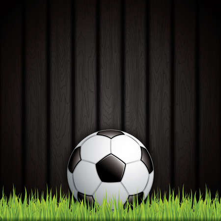 Soccer ball on grass background.Vectorのイラスト素材