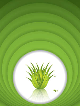 Aloe Vera concept design.Vectorのイラスト素材