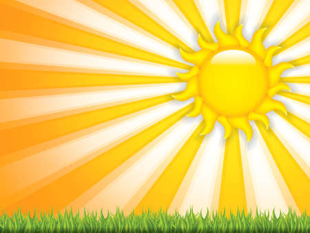 Summer background.Vectorのイラスト素材