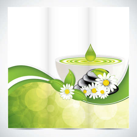 Spa salon beauty tri-fold brochure design with leaves bowl and stonesのイラスト素材