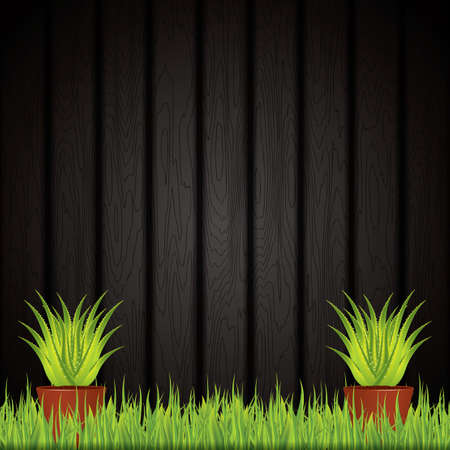 Aloe Vera plant in pot.Vectorのイラスト素材