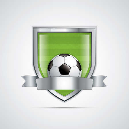 Soccer field emblem.Vectorのイラスト素材