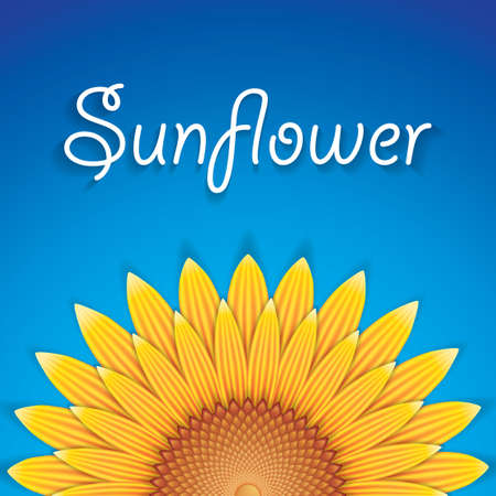 Sunflower background with blue skyのイラスト素材