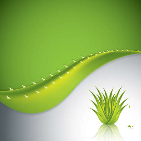 Aloe Vera concept designのイラスト素材