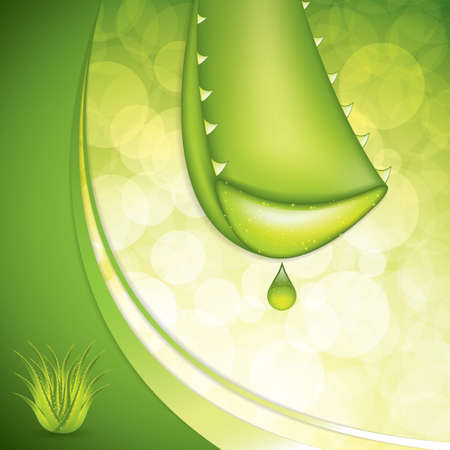 Aloe Vera concept designのイラスト素材