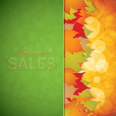 Autumnal leaf of maple and sunlight backgroundのイラスト素材