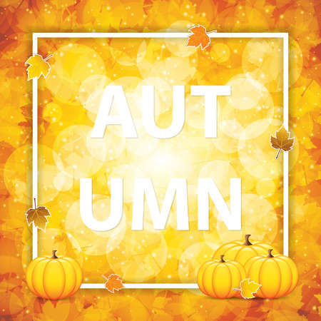 Autumn background with pumpkins and leaves.Seasonal frame concept.Vector illustration.のイラスト素材