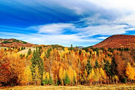 Autumn forest landscape in Transylvania,Romania,Europeの写真素材