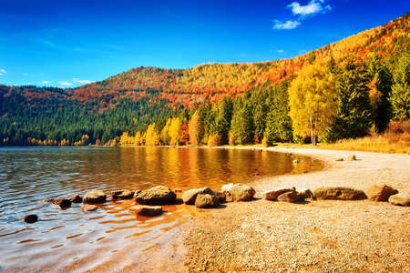 Autumn forest landscape and stunning famous volcanic lake in Transylvania,St Anna Lake,Romania,Europeの写真素材