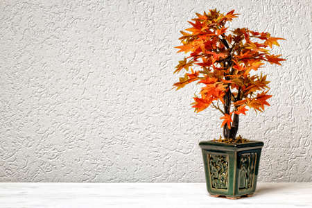 Plastic autumn tree home decoration on white table in front of white wallの写真素材