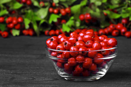 Hawthorn berries (crataegus) in glass bowl on a old black wooden table (selective focus).の写真素材