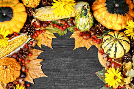 Autumn still life with pumpkins, corn cobs, acorns, pine cones, berries, chestnuts and leaves on black wooden background, top view (selective focus).の写真素材