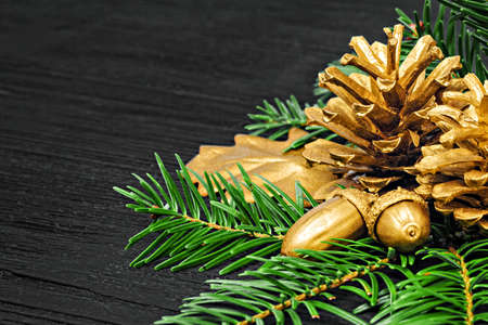 Still life concept with golden pine cones and acorns (selective focus).Use it for different holiday greeting cards -  Advent, Christmas or New Yearの写真素材