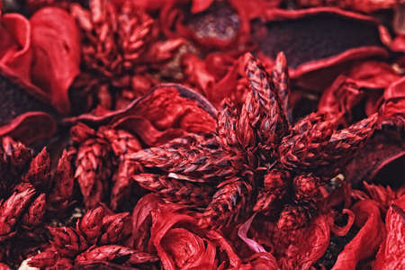 Close-up photo of red scented potpourri (selective focus).