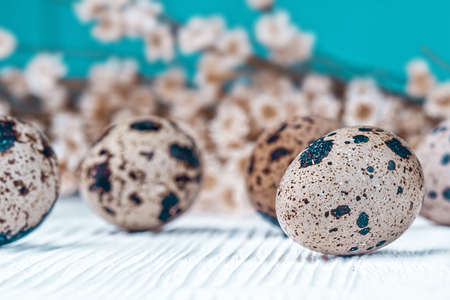 Easter holiday concept with quail eggs on white wooden background (selective focus).の写真素材