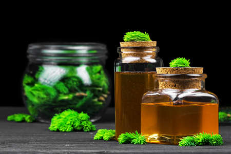 Homemade pine cough syrup for dry irritating throat coughs. Made from green young pine buds and honey.Alternative medicine concept on black wooden table (selective focus).の写真素材