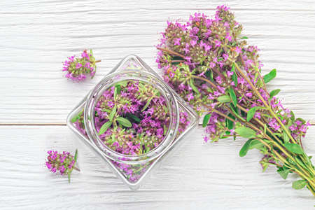 Thymus serpyllum herb in bottle.Thyme is a medicinal herb for dissolving and easier secretion of mucus.Alternative medicine concept on a white wooden table, top view (selective focus).の写真素材