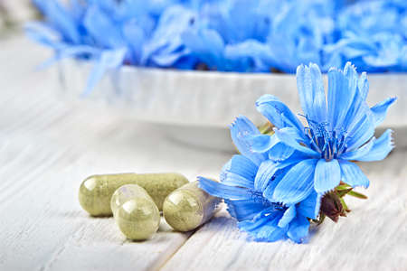 Chicory (Cichorium intybus) pills and flowers. Alternative medicine concept on a white wooden table (selective focus).の写真素材