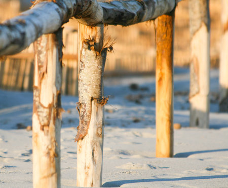 Artistic Sunrise Fence on the beachの写真素材