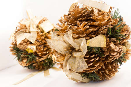winter pinecones brilliantの写真素材