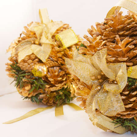 winter pinecones brilliantの写真素材
