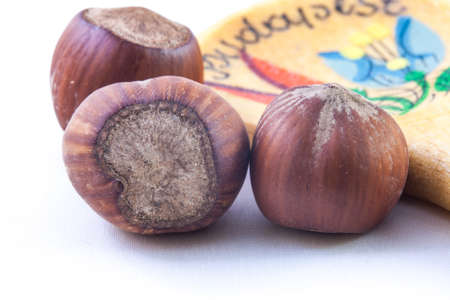 Face to Face with three hazelnuts, with ladle on background