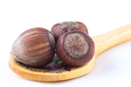 Face to Face with Three hazelnuts on touristic ladle of Hungary.の写真素材