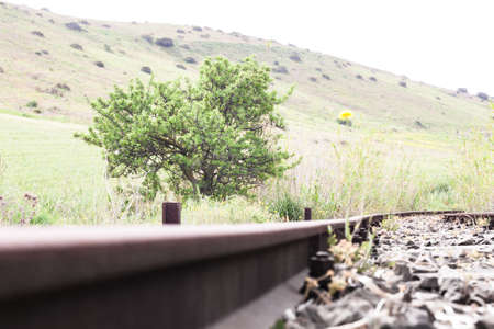 inside of a track. Point of view of campaign inside an abandoned rail binaryの写真素材