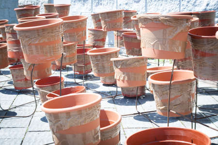 many empty flowerpots with tape after a religious processionの写真素材