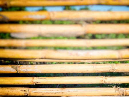 yellow reeds cut. Close up image of a lined reeds that generate optical effectの写真素材