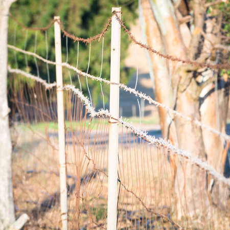 Wire Mesh - Point of viewの写真素材