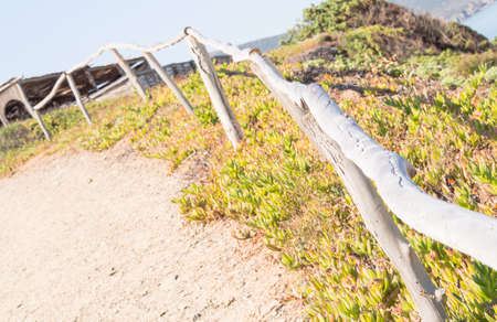 Artistic wooden Fence in a path near the beachの写真素材