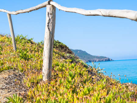 Artistic wooden Fence in a path near the beach