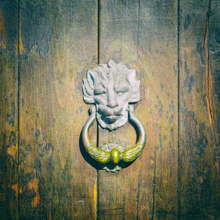 Lion head on wood. Particular of a knockerの写真素材