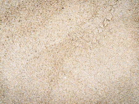 Artistic sand drawings of nature. Aristic Sandy Background.の写真素材
