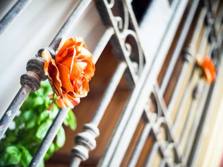 roses on the bars prison. concept of expiation of guiltの写真素材