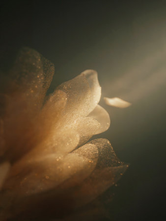 This stunning image captures soft golden flower petals illuminated by gentle light, creating a dreamy and tranquil atmosphere perfect for commercial use.の素材