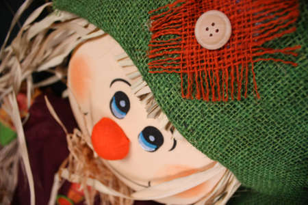 Scarecrowの写真素材