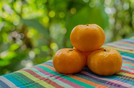 orange fruit on the colorful fabric with green blurred backgroundの写真素材