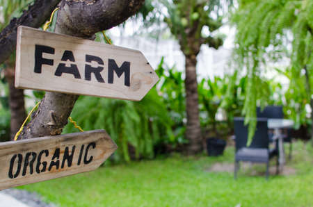 FARM and ORGANIC wooden signs with view of bench in the garden, selective focusの写真素材