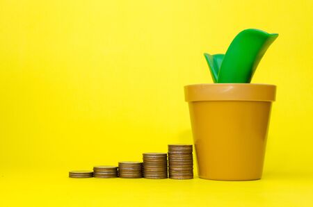 money coin stack growing and piggy bank or tree shaped money box on yellow background, financial, business, saving money concept, selective focusの写真素材