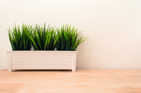 green tree in white pot small decorative on wooden table and white wall background, selective focus, copy space, vintage tone retro styleの写真素材