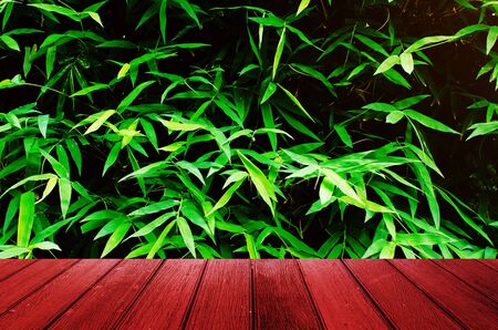 empty wooden red floor or terrace with blurred image of green plant tropical bamboo leaf background, copy space for display of product or object presentation, garden decorative and nature conceptの写真素材