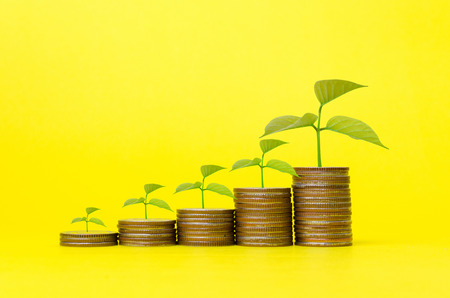 growing plant and money coin stack on yellow background, saving money, business, finance and banking conceptの写真素材
