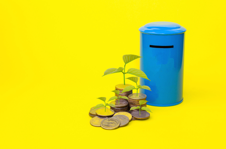 growing plant and money coin stack with piggy bank or vintage blue post mailbox shaped on yellow background, saving money, business, finance and banking conceptの写真素材