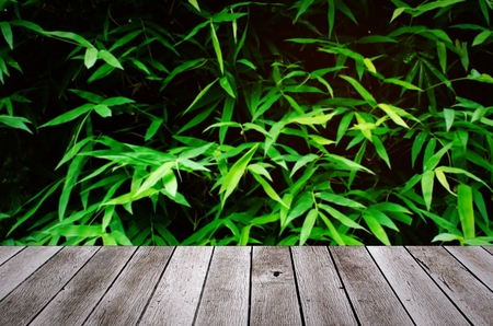 wooden terrace or desk with copy space for display of product or object presentation and dark bamboo leaves nature backgroundの写真素材