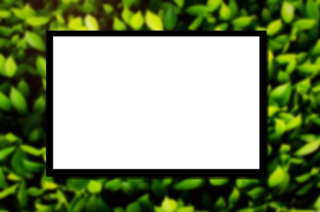 white blank board  or advertising billboard for your text message or media content with blurred image of green leaf nature background, commercial, marketing and advertising conceptの写真素材