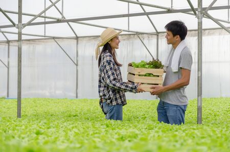 young friendly couple farmer smiling and holding organic hydroponic fresh green vegetable produce wooden box together in greenhouse garden nursery farm, agriculture business, healthy food conceptの写真素材